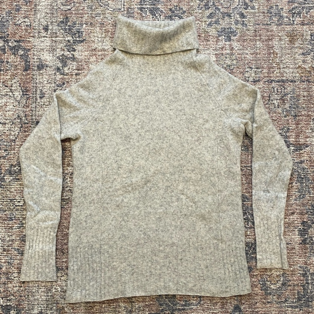 COMMUNITY BY ARITZIA TURTLENECK